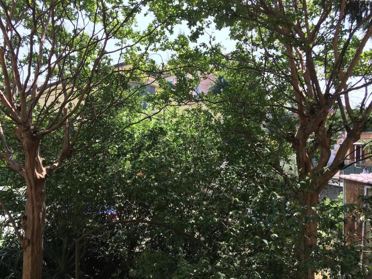 Domus Liviae Acomodação com café da manhã Milão Exterior foto